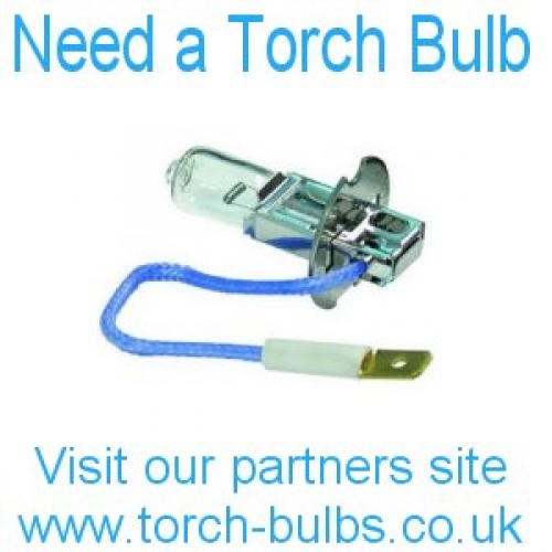 torch bulbs